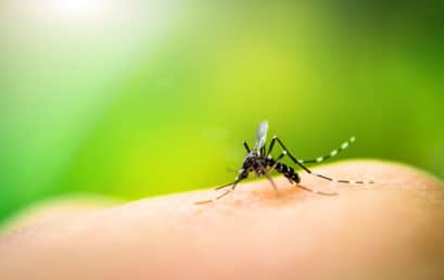 Combate à dengue, Zika e chikungunya  é tema de campanha desenvolvida por alunos do curso de medicina FACERES